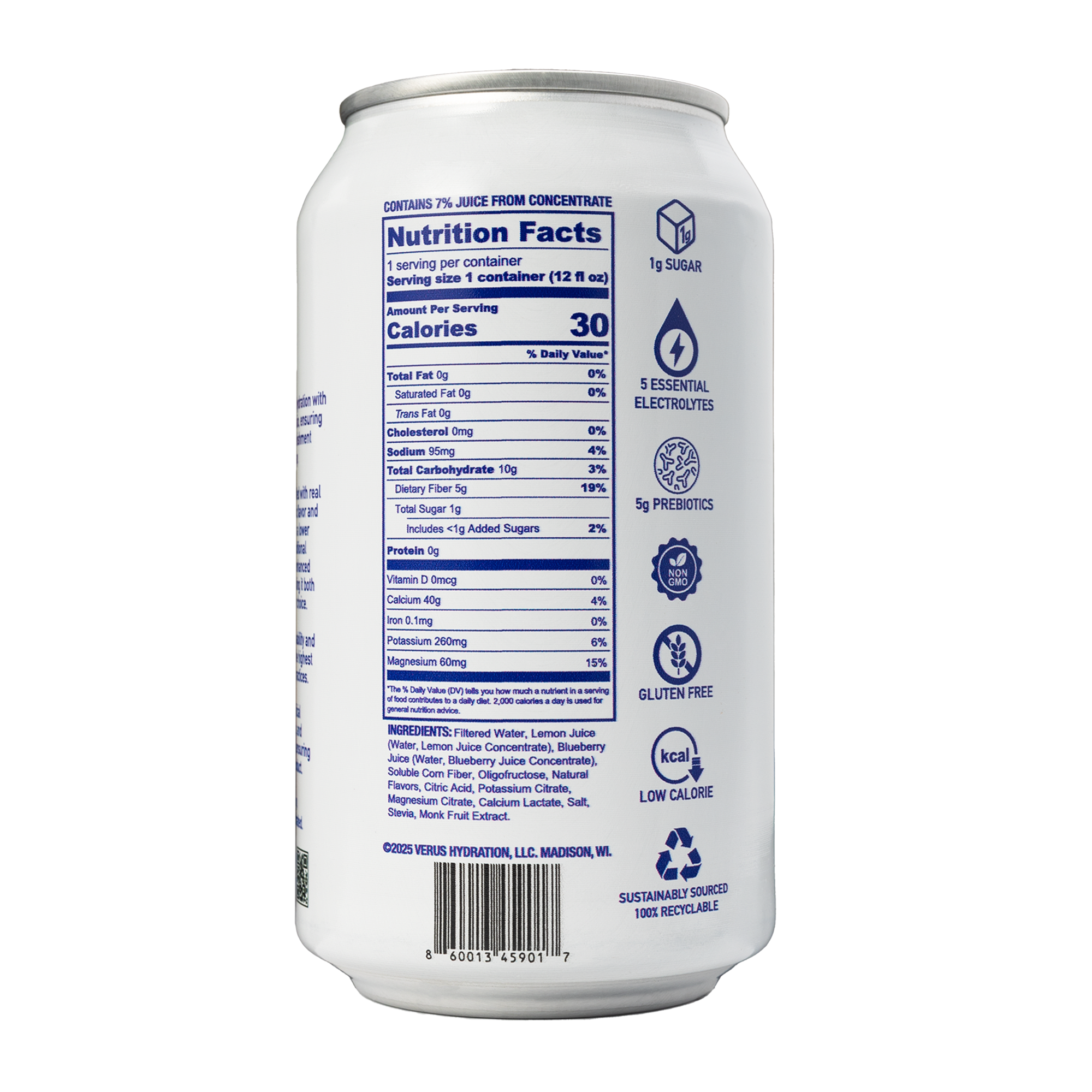 Sparkling Blueberry Mango Lemonade (12 Cans)