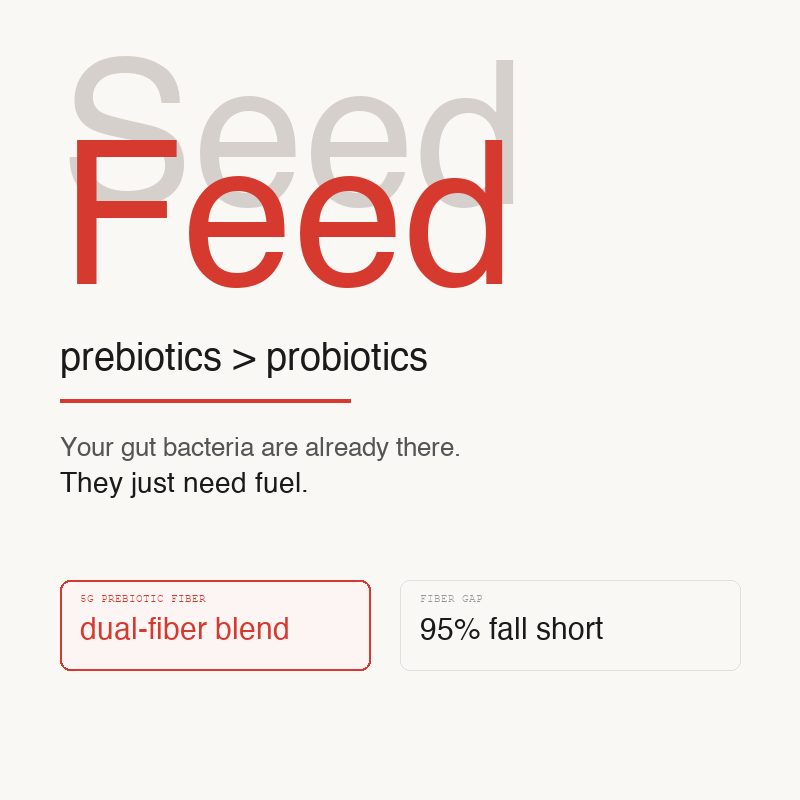 Prebiotic vs Probiotic: What Is the Difference and Which One Matters More?